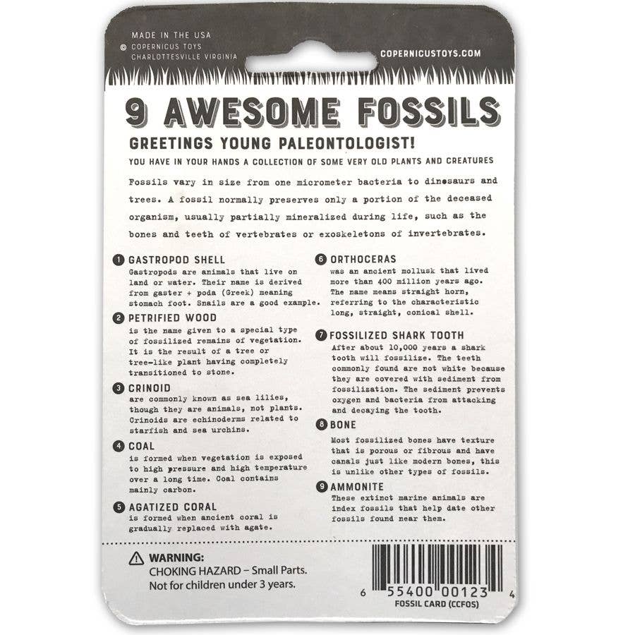 Fossils