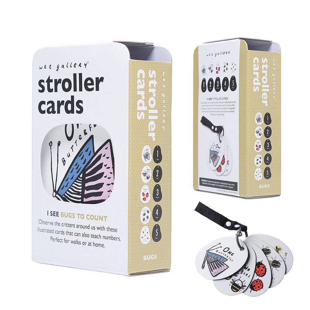 Stroller Cards- I See Bugs to Count