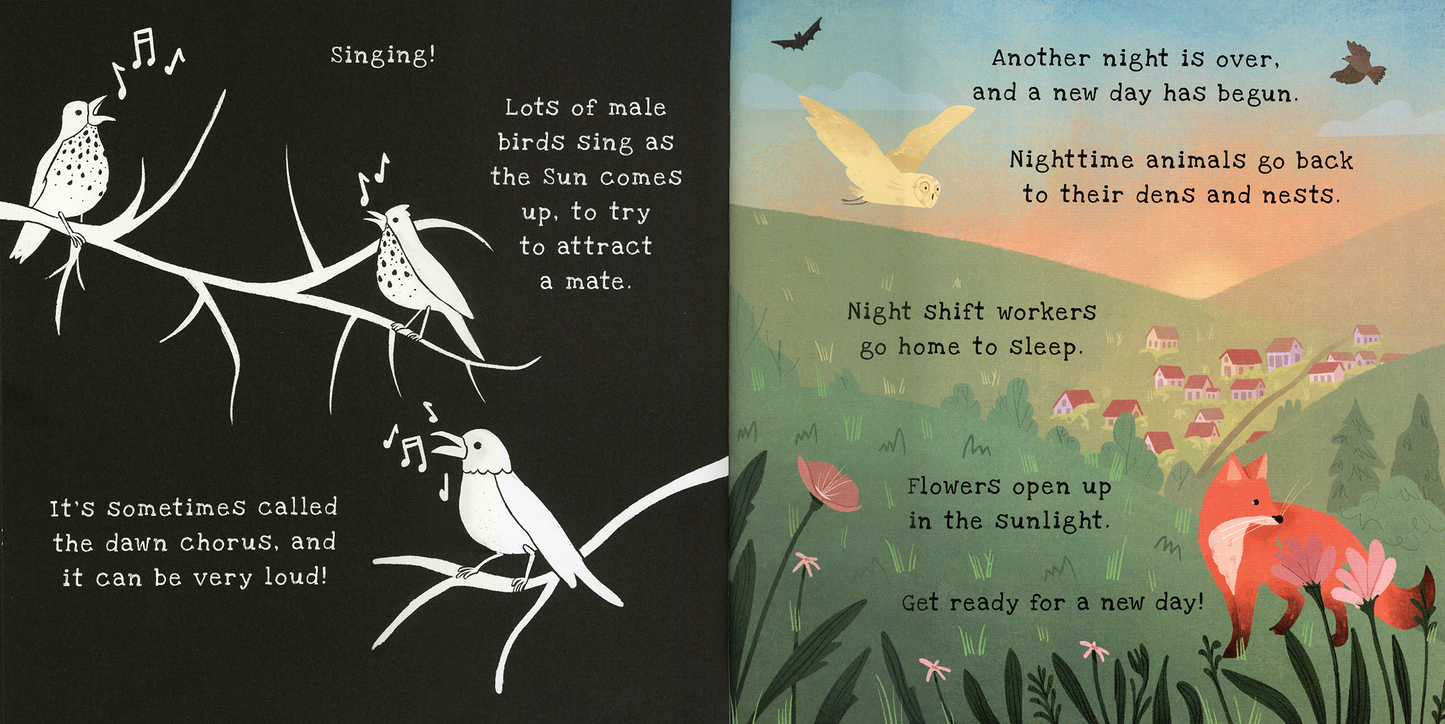 Shine-A-Light: Nighttime