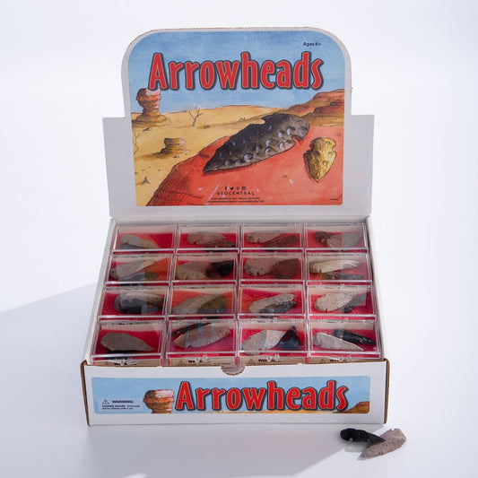 Arrowheads Souvenir Box