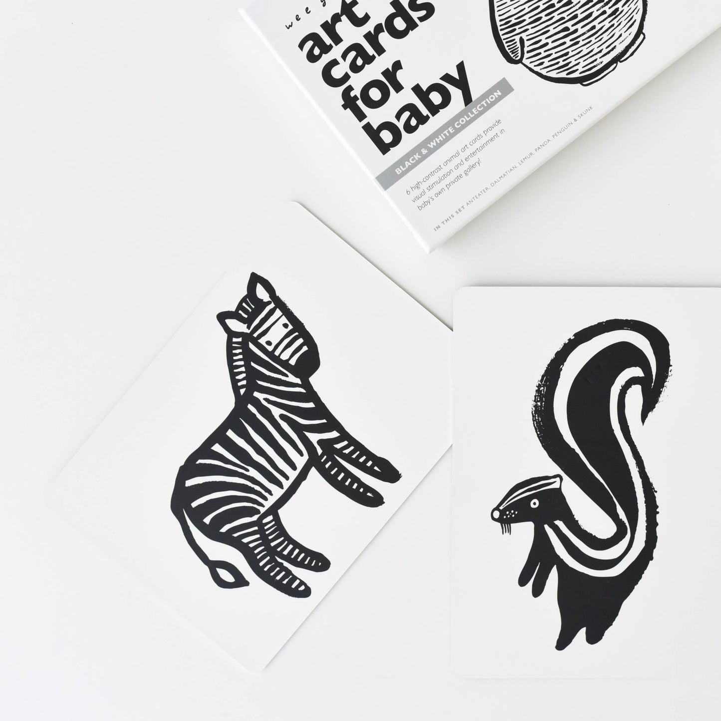 Black& White Animals Art Cards