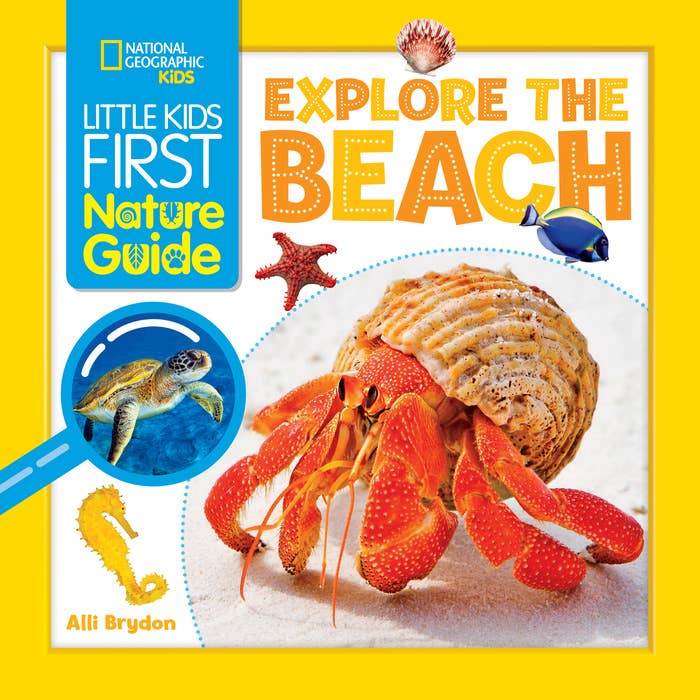 Nature Guide Beach- Nat Geo Kids