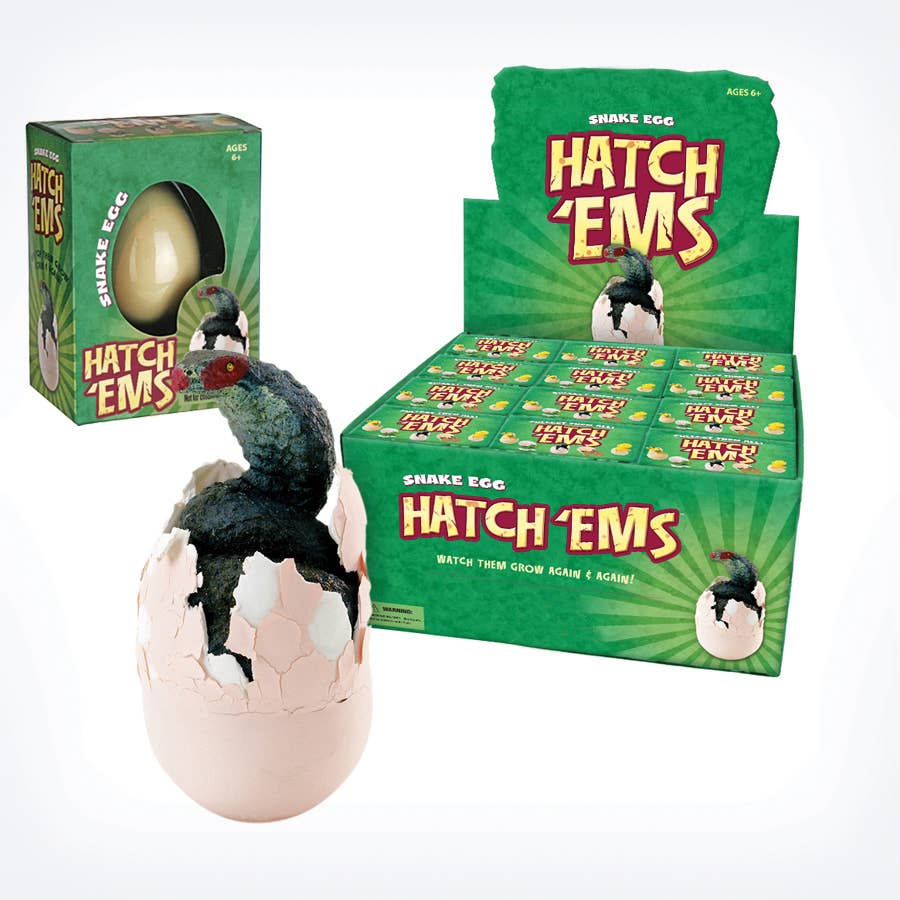 Snake Egg Hatch
