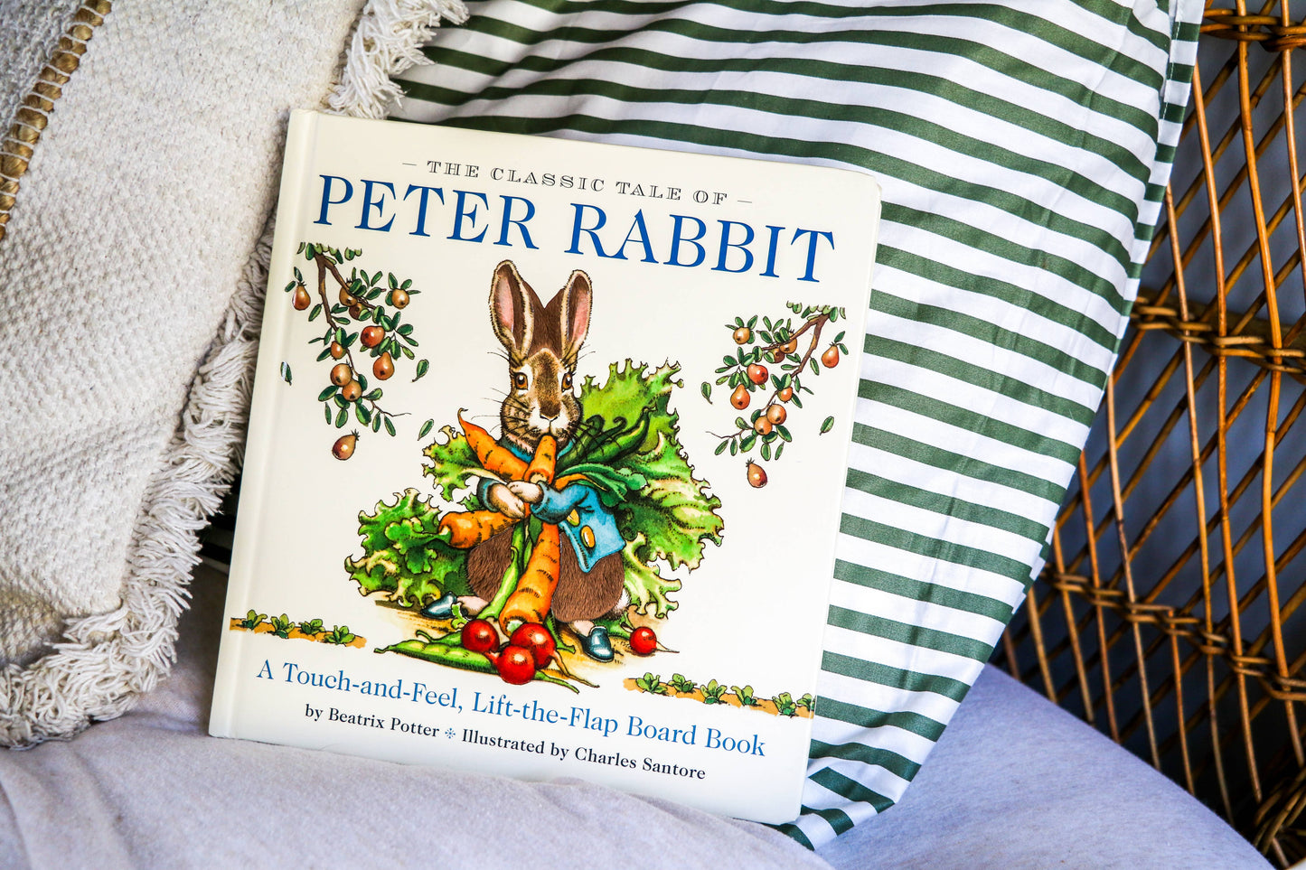 The Classic Tale of Peter Rabbit Touch and Feel Board Book