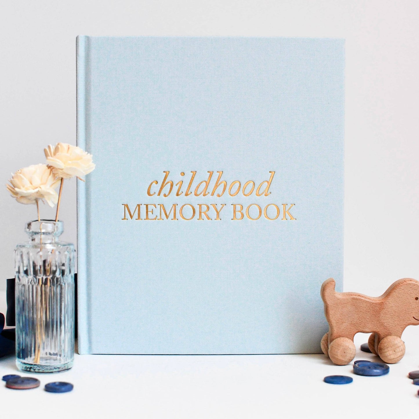 Baby Memory and Photo Book