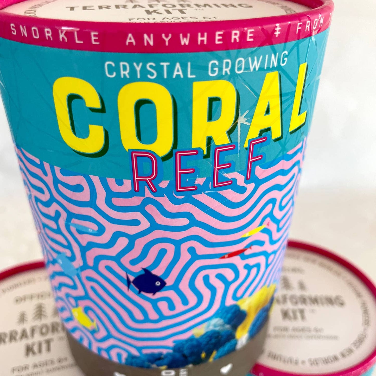 Coral Reef Crystal Growing