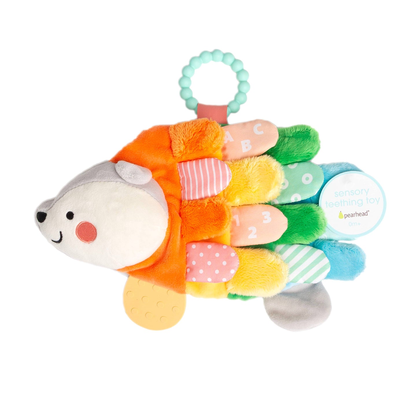 Hedgie Sensory Toy