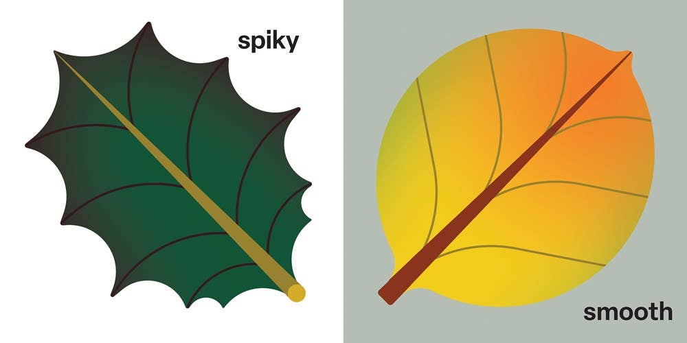 Opposites Board Book