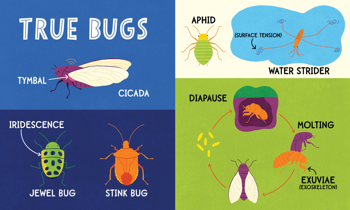 My First 100 Bug Words