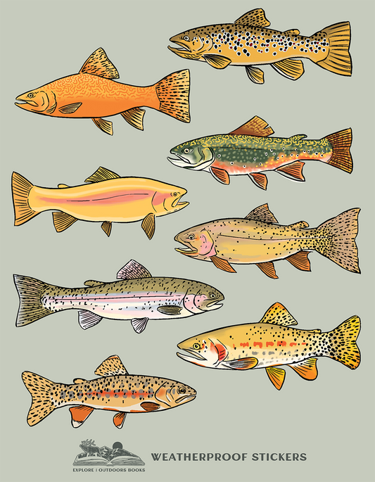 Trout Weatherproof Sticker Sheet