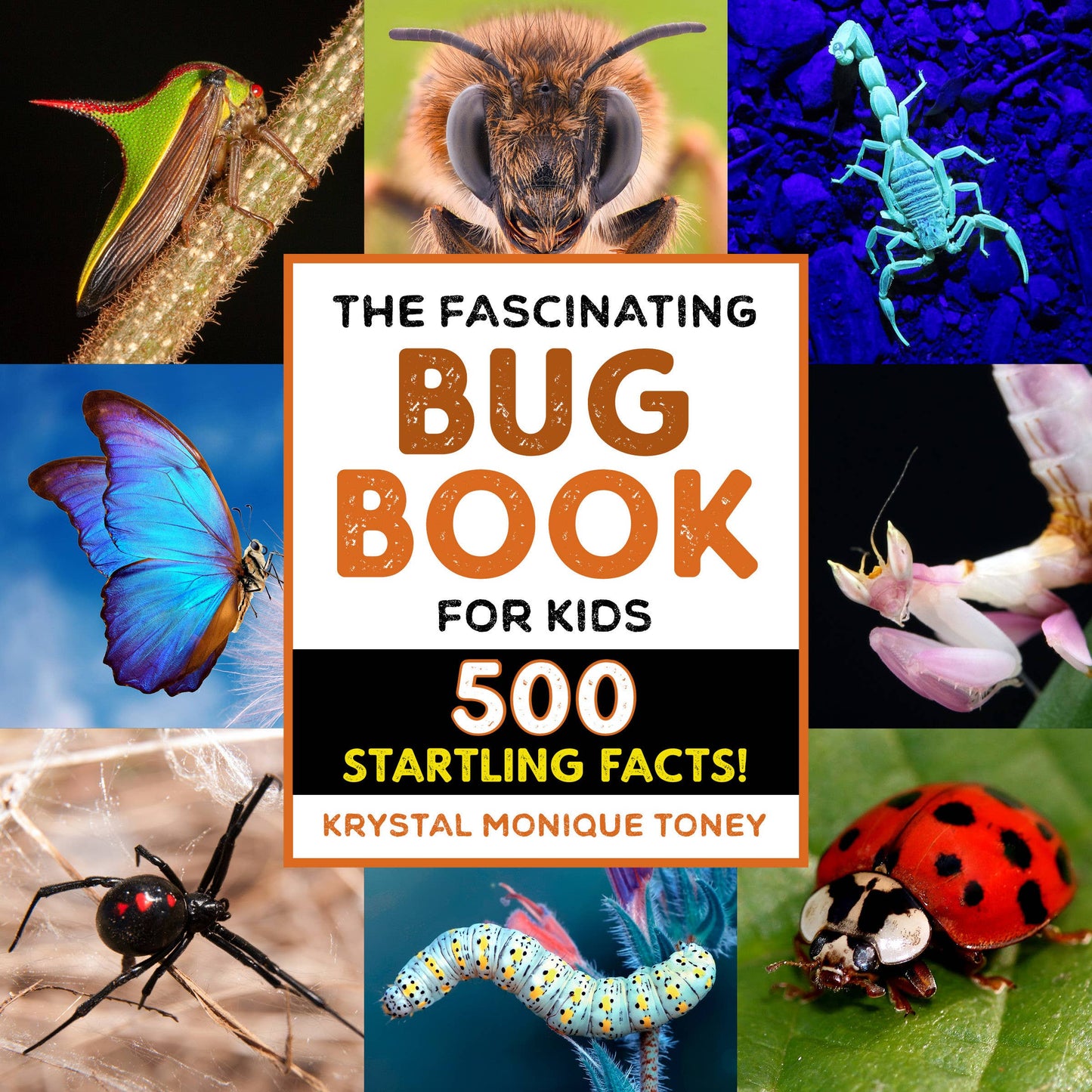 Fascinating Bug Book for Kids