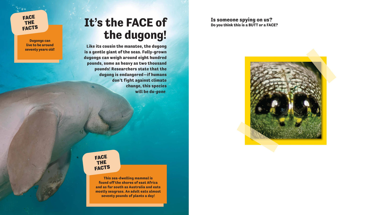 Butt or Face? Volume 2