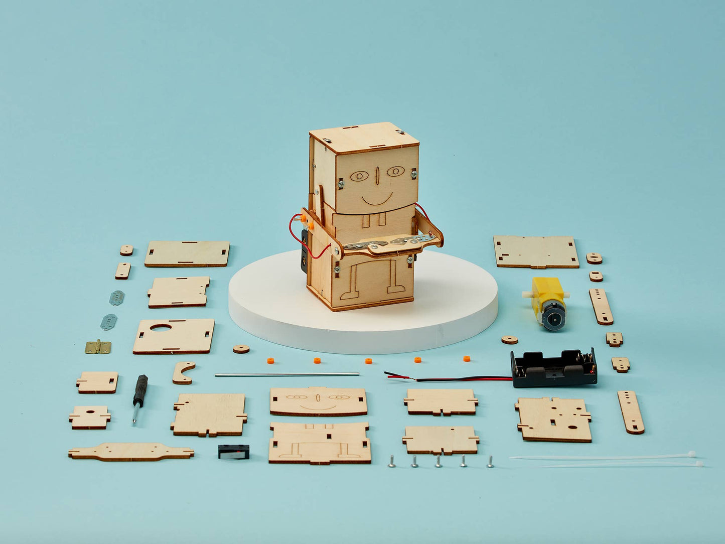 Money Bank Robot DIY Building Kit