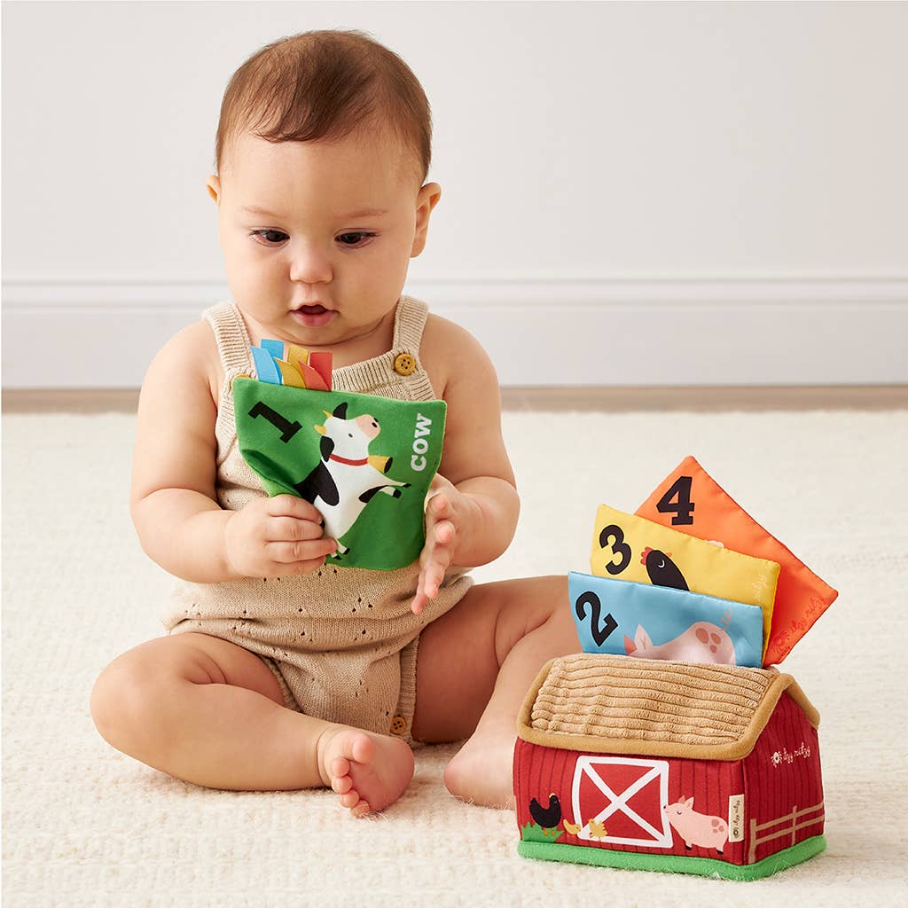 Baby Farm Sensory Scarves