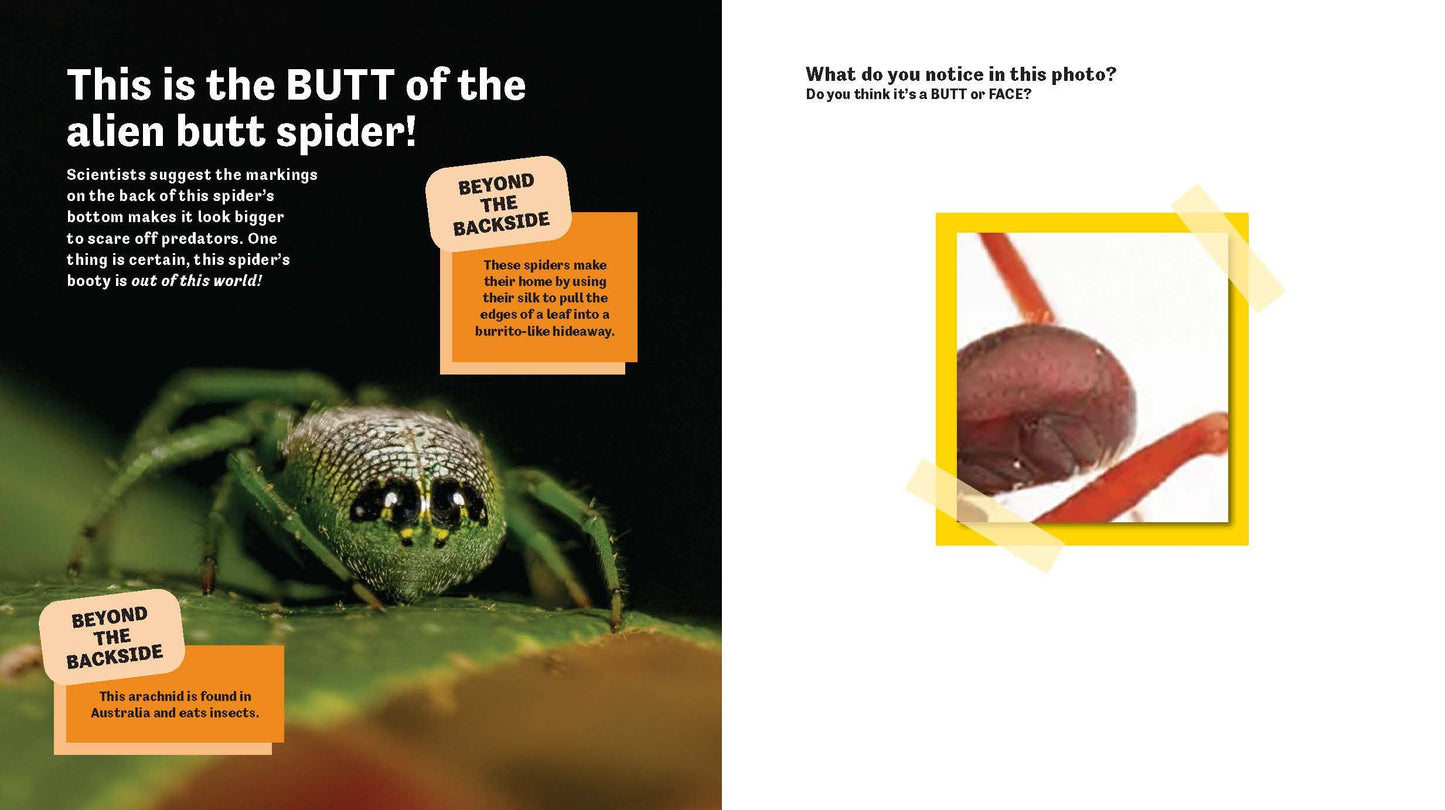 Butt or Face? Volume 2