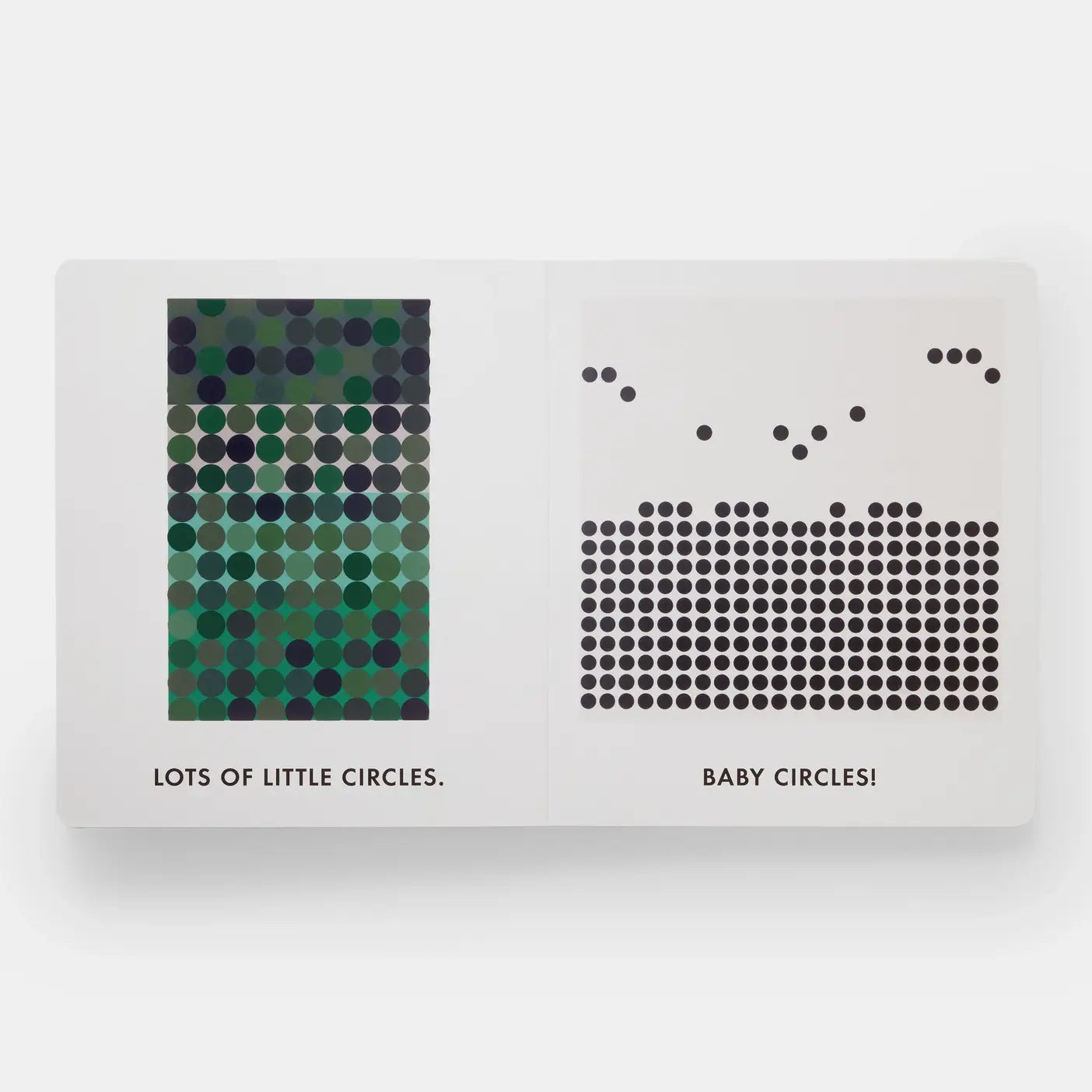 Squares & Other Shapes