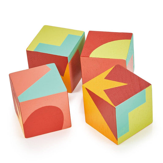 Color & Shape Blocks