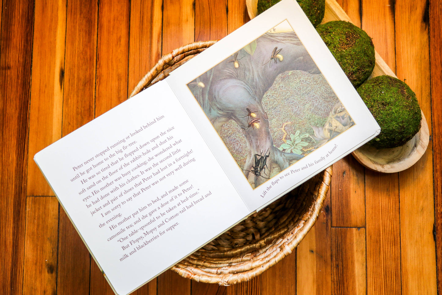 The Classic Tale of Peter Rabbit Touch and Feel Board Book