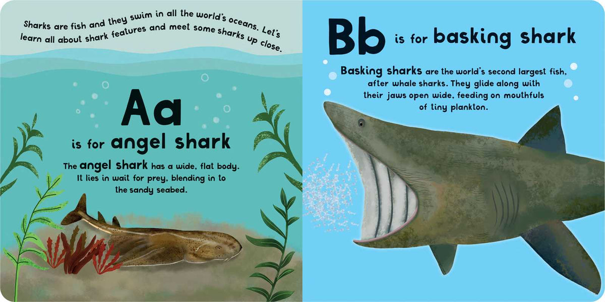 Educational book page about sharks with illustrations and text.