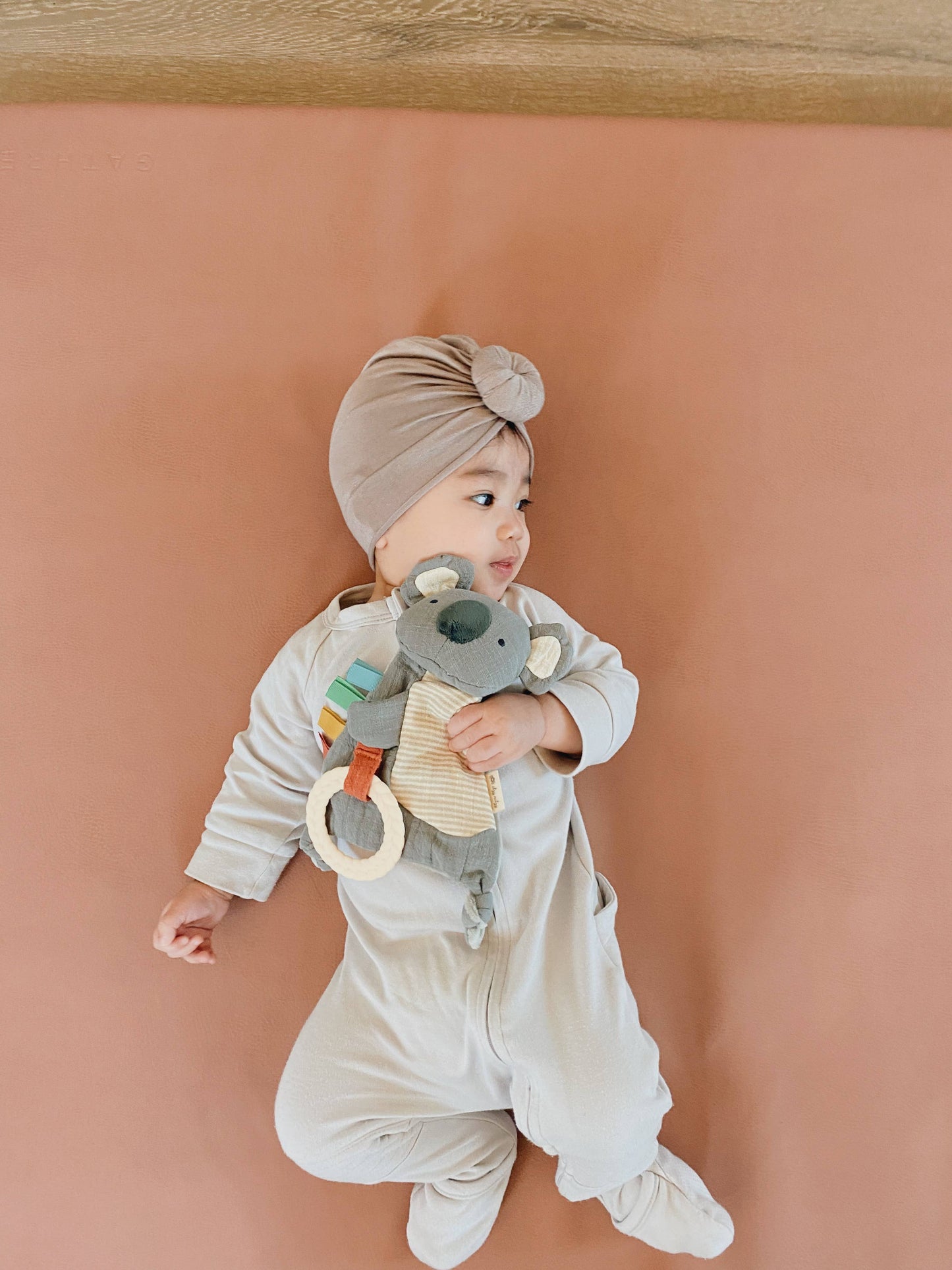Dino Crinkle Toy with Teether