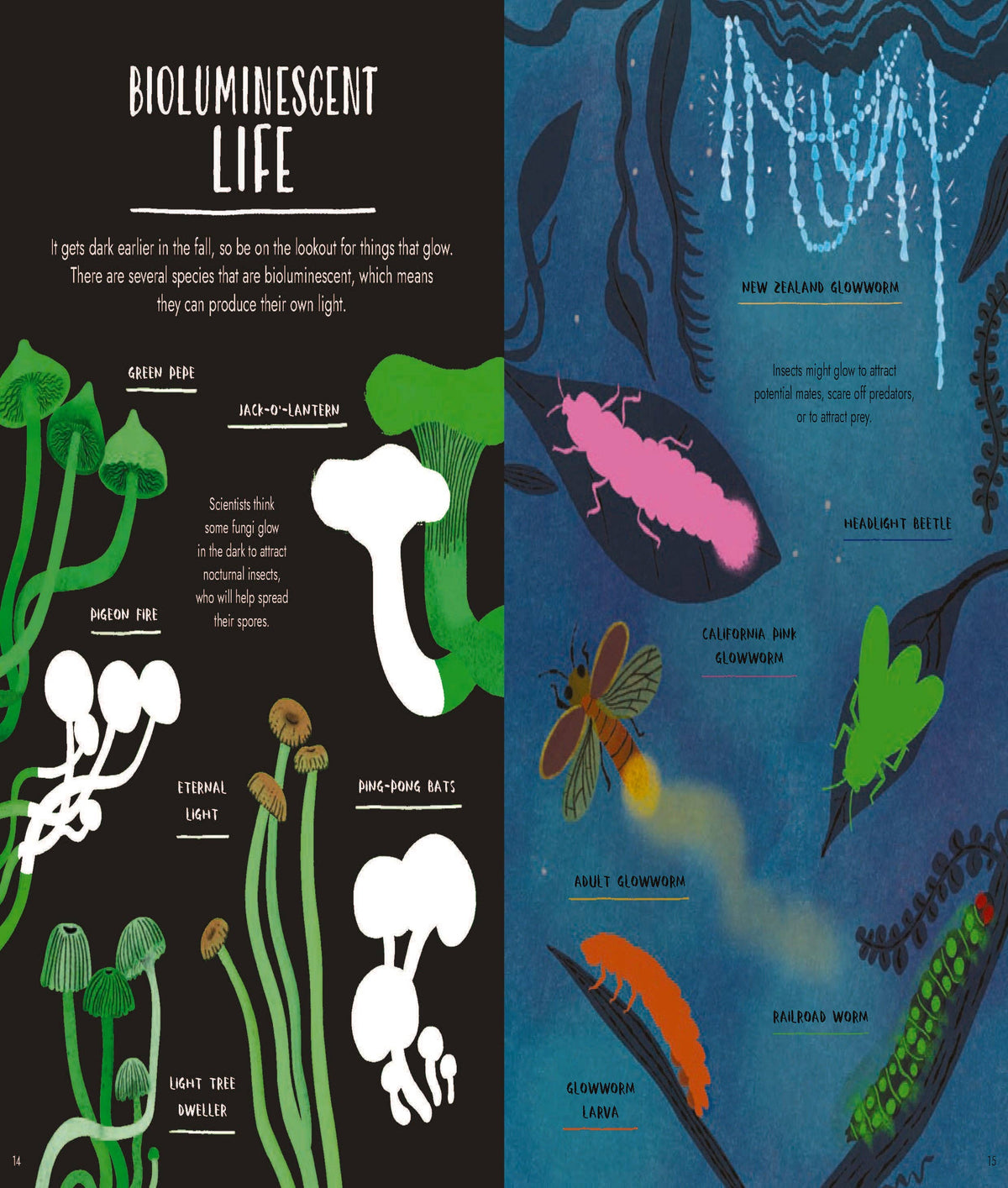 An educational poster titled 'BIOLUMINESCENT LIFE' with a split design. The left side has a black background with white text and illustrations of glowing mushrooms in green, white, and brown.
