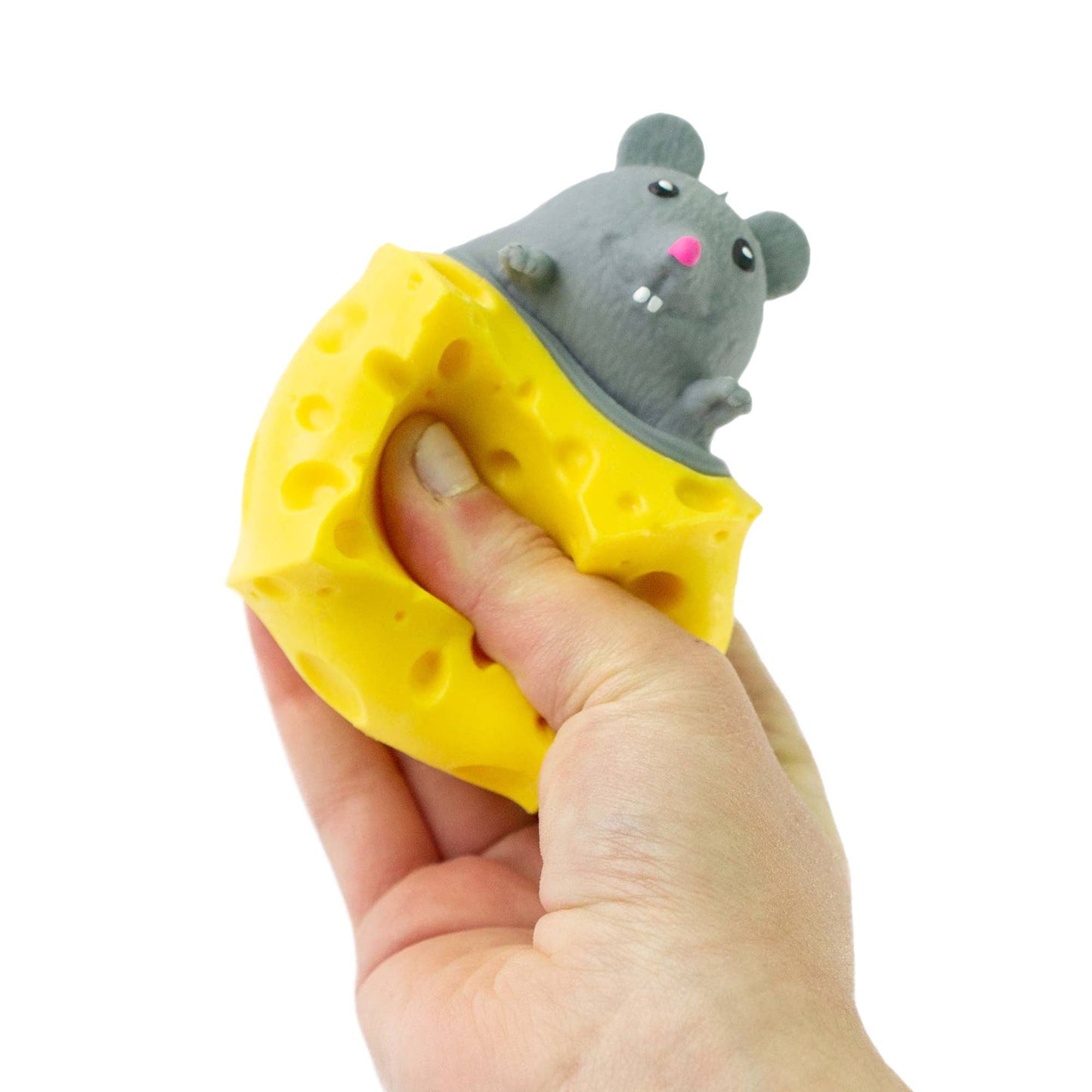 Mouse in Cheese