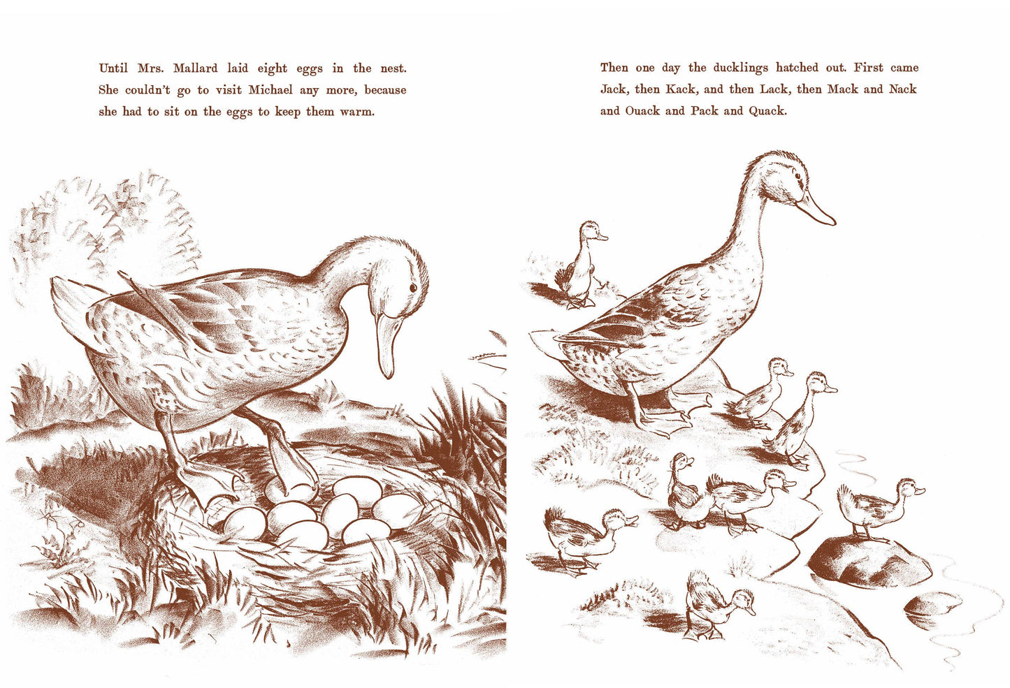 Illustrated book page with a duck tending to eggs and later with ducklings.