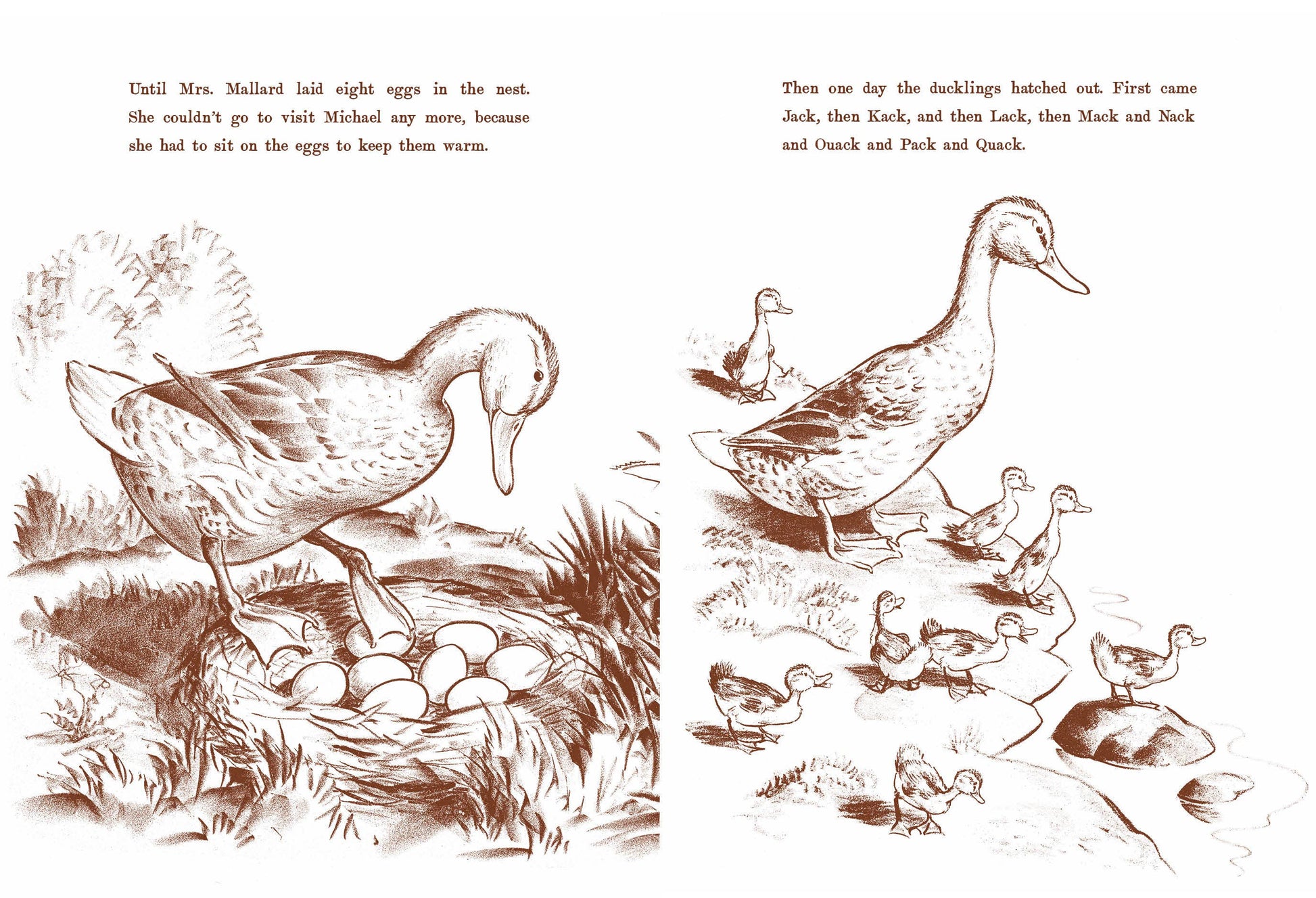 Illustrated book page with a duck tending to eggs and later with ducklings.