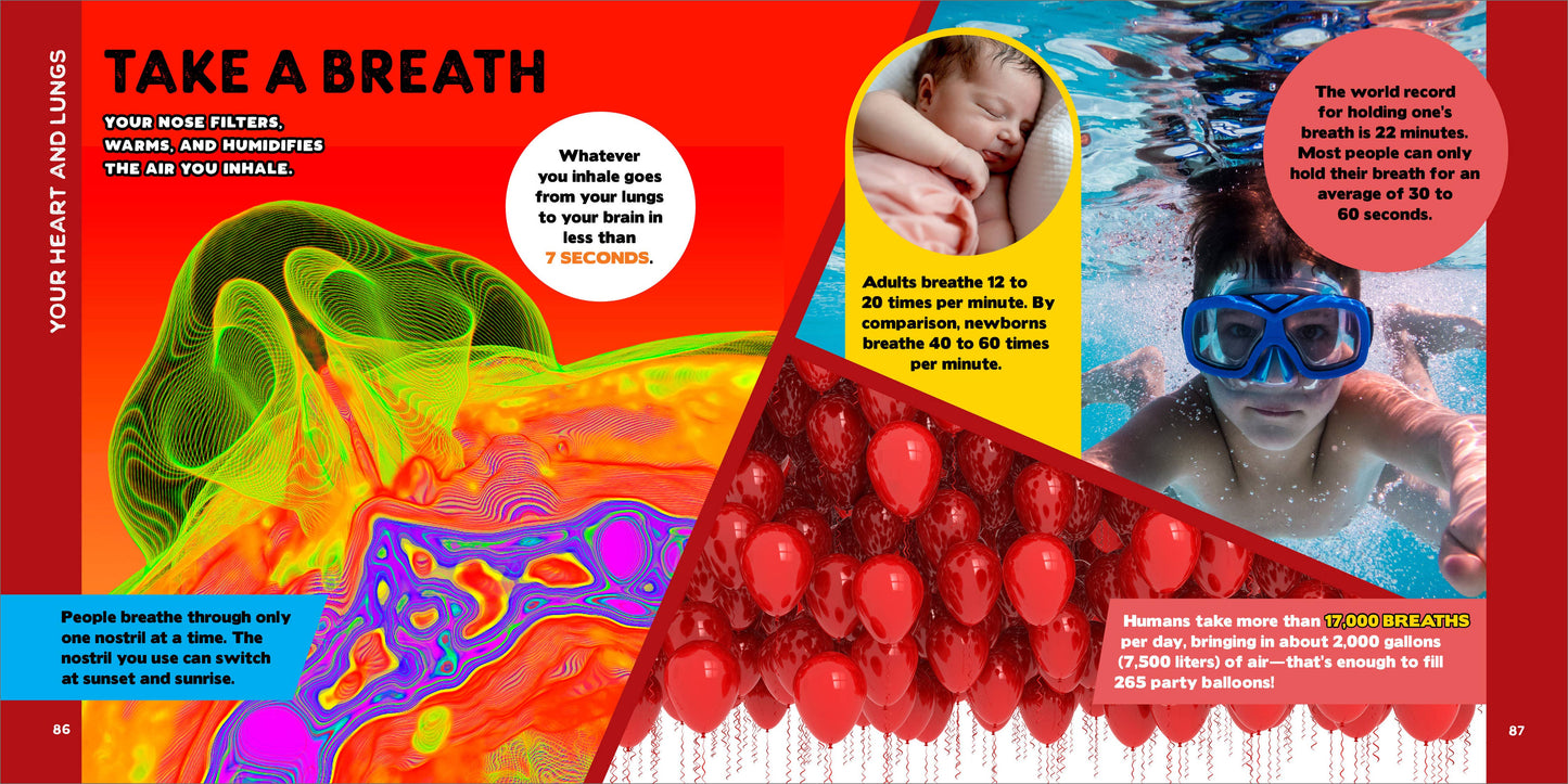 Fascinating Human Body Book for Kids