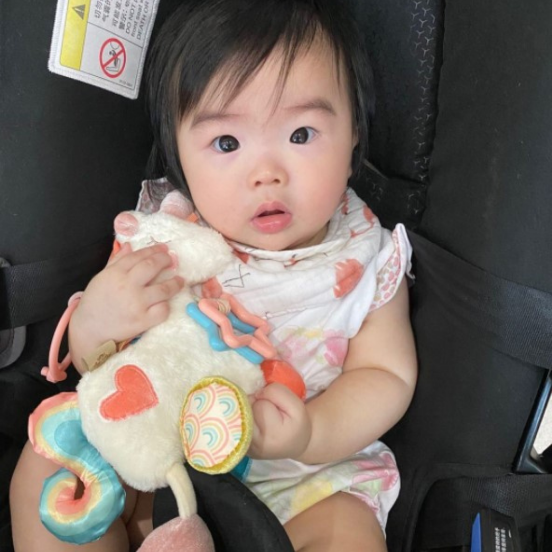 Llama Activity Plush with Teether Toy