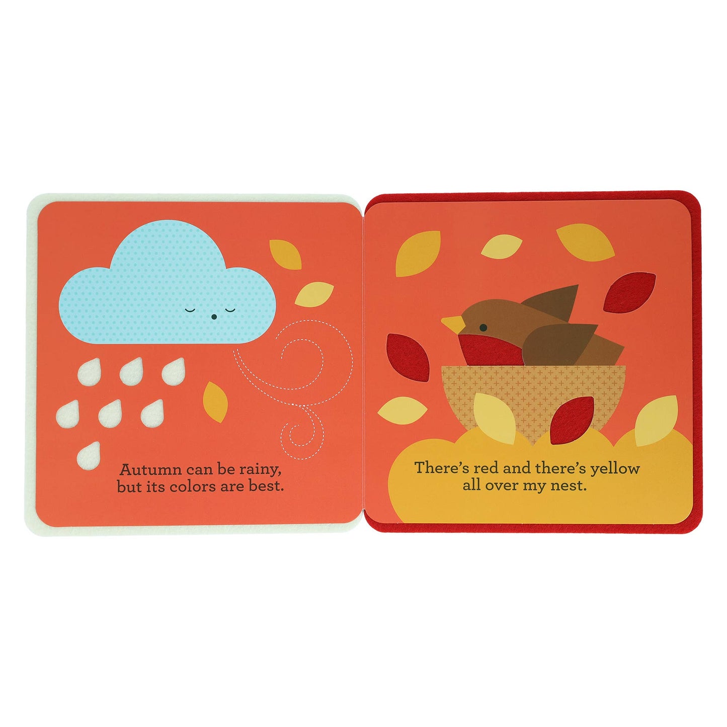 Rain and Shine: A First Felt Book: