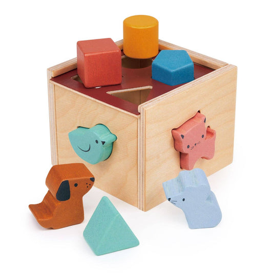 Sorting Cube Wooden Puzzle Toy