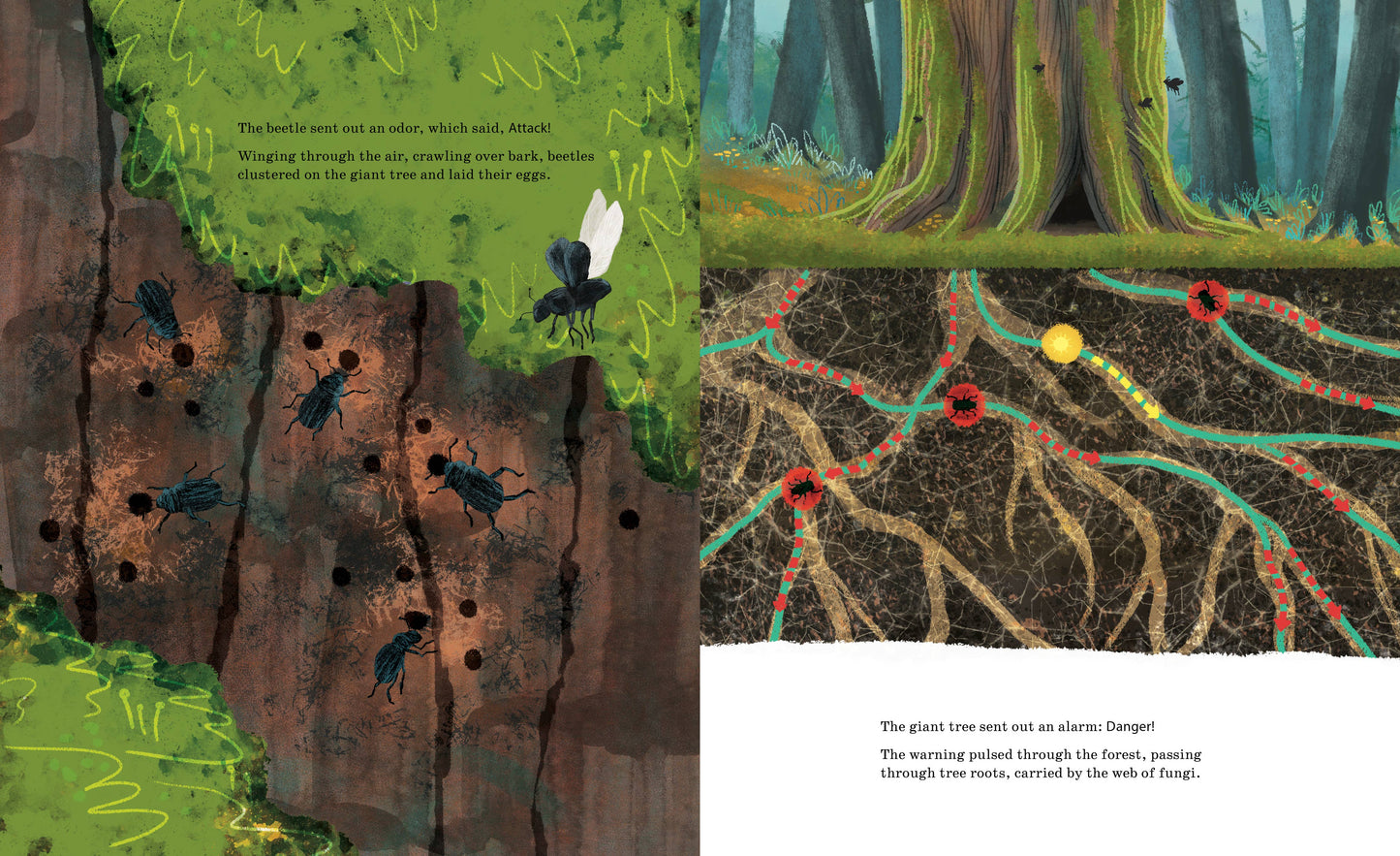 Listen to the Language of the Trees