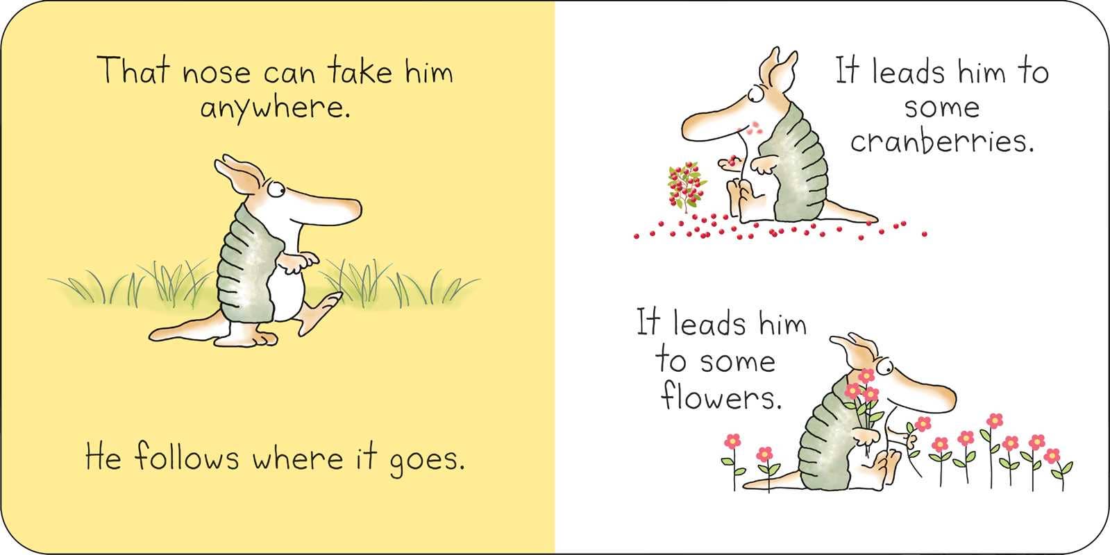 Illustrated book page with a cartoon armadillo and text about its nose.