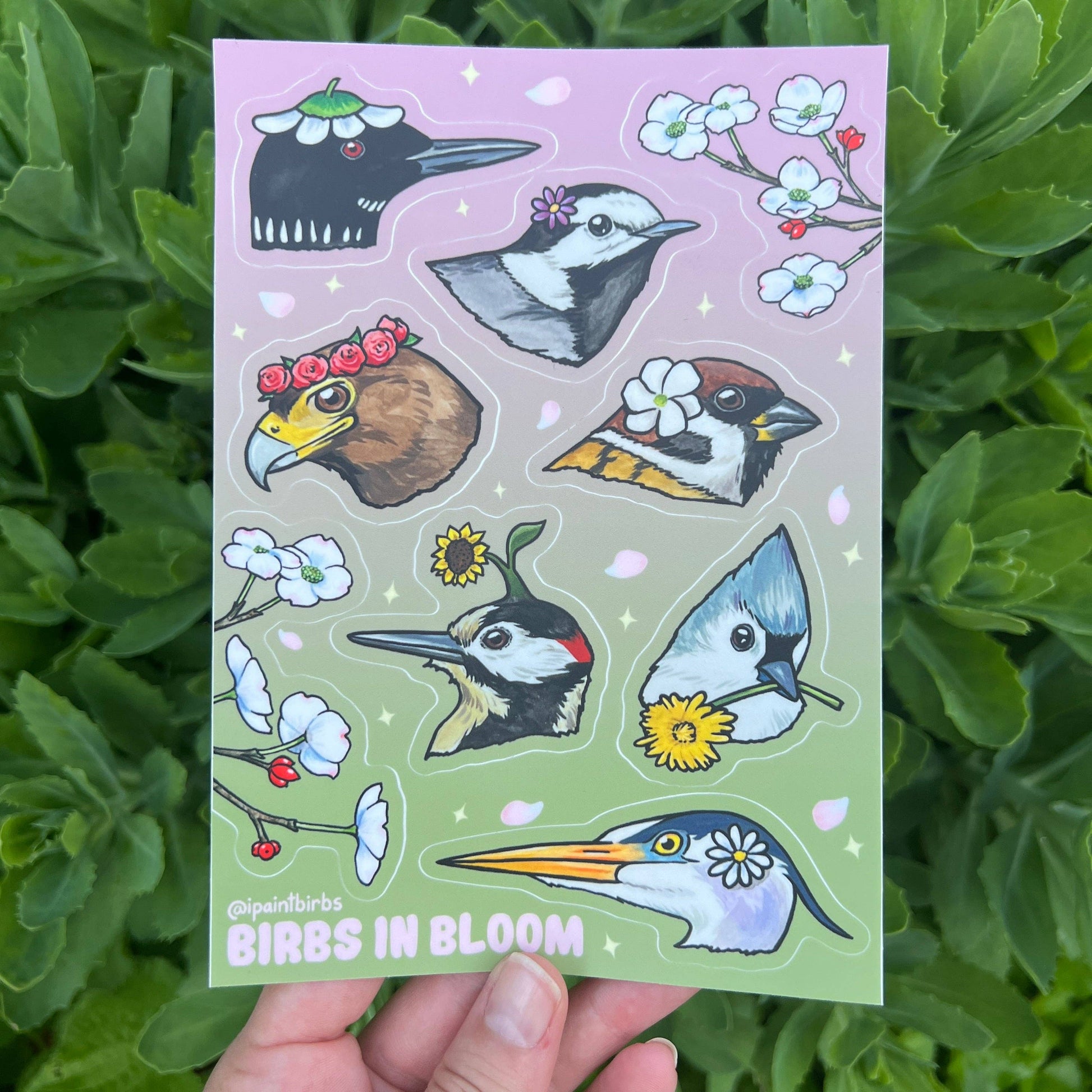 Sticker sheet with illustrated birds and flowers held over a green leafy background