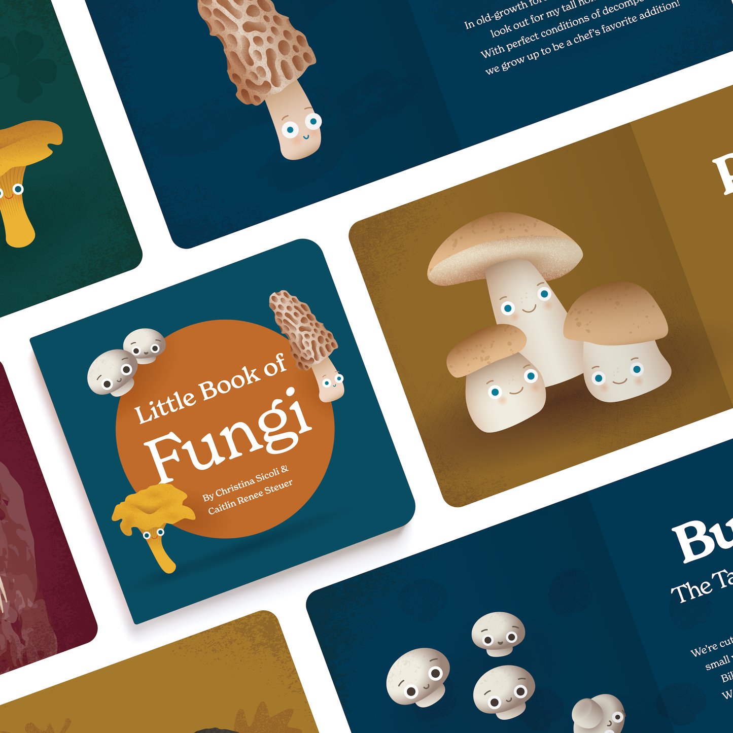 Little Book of Fungi Board Book