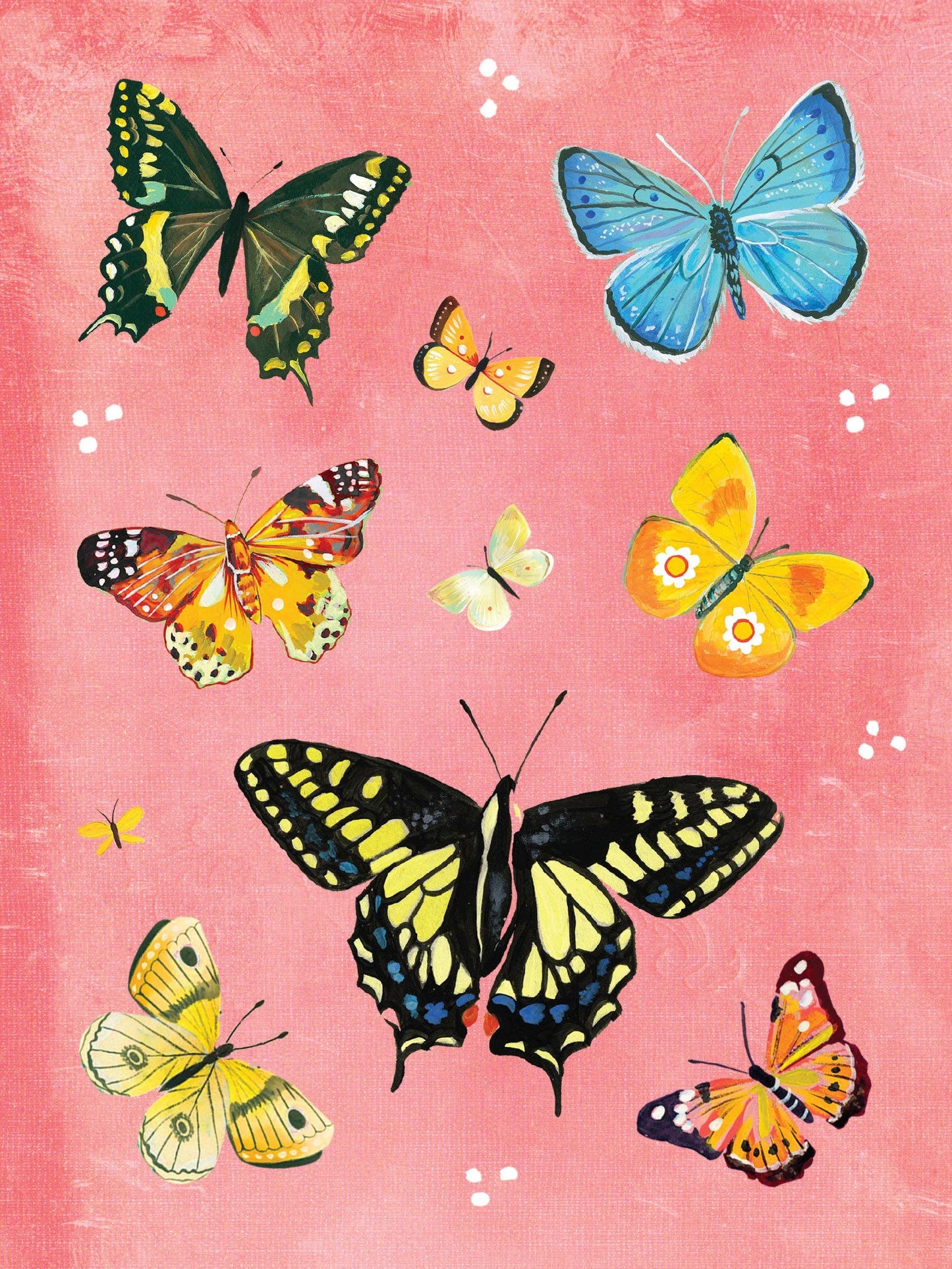 Illustrations of colorful butterflies on a pink background