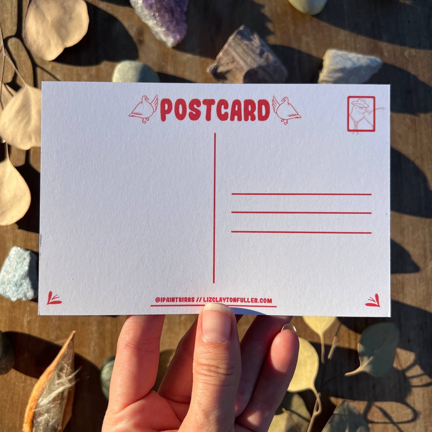 Hand holding a postcard with a scenic background of rocks and leaves