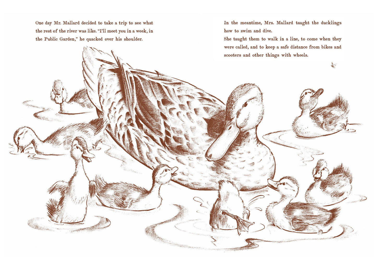 Illustration of ducks and ducklings in a pond with text above.