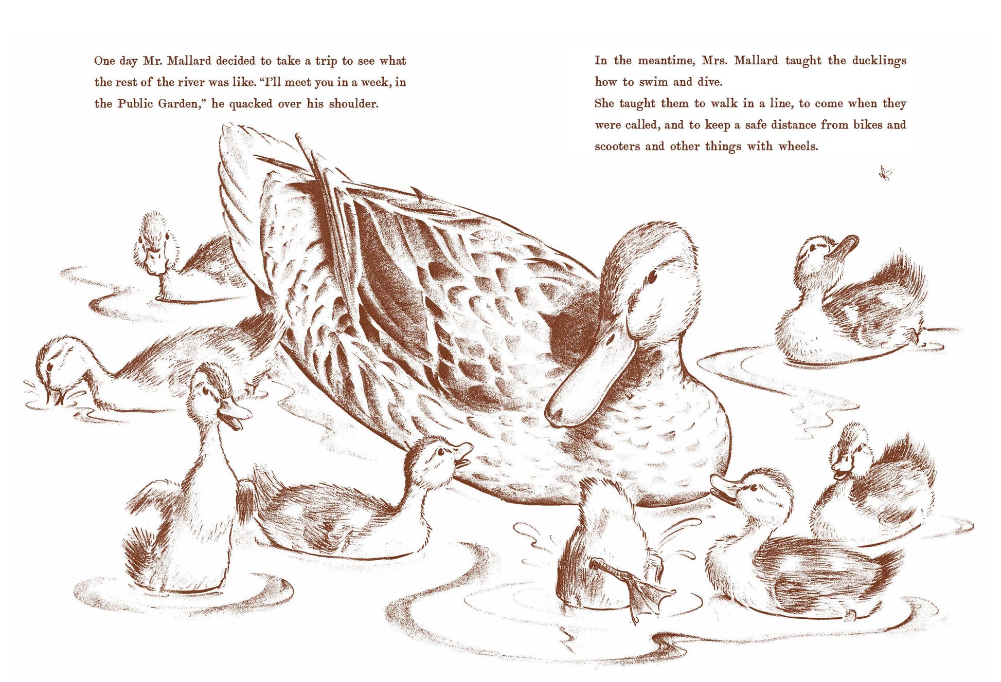 Illustration of ducks and ducklings in a pond with text above.
