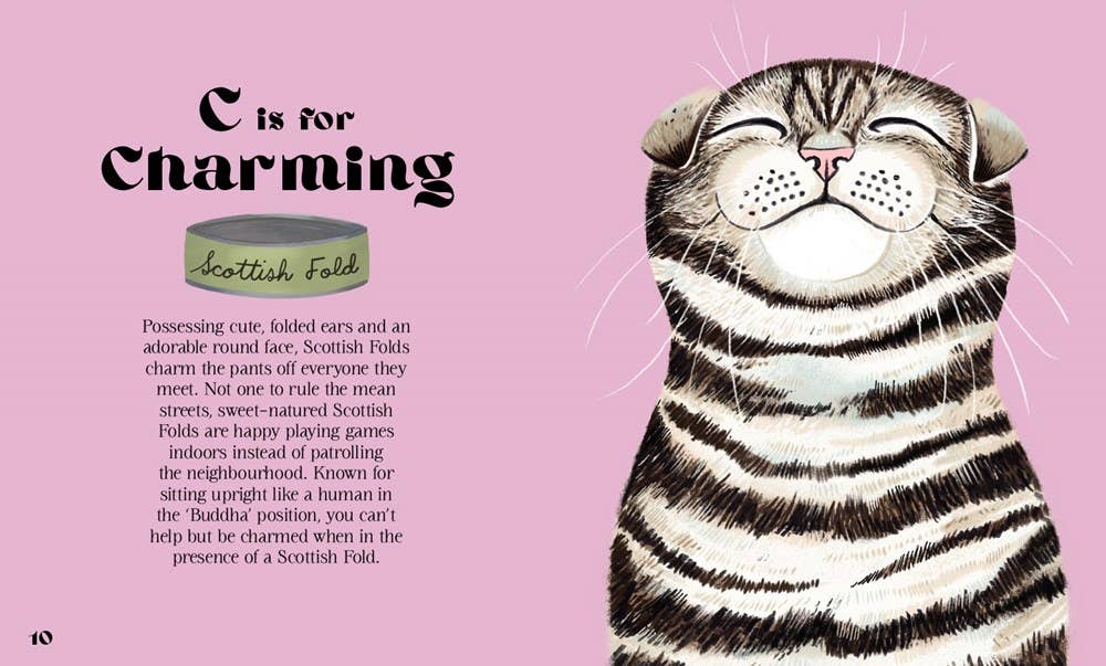 Catphabet : A Cat Alphabet