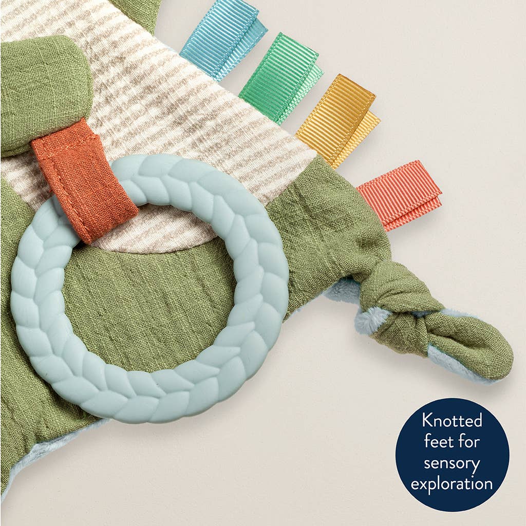 Dino Crinkle Toy with Teether