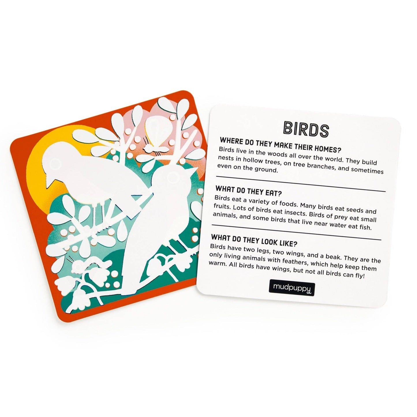 Educational card with a bird illustration and text on a white background