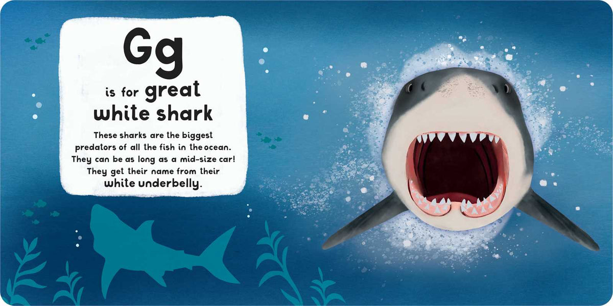 Book page with a great white shark illustration and educational text on a blue underwater background.