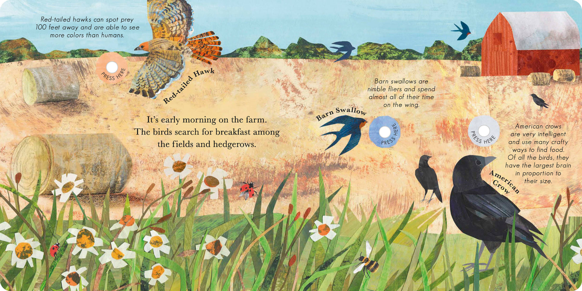 Illustrated book page with birds and nature elements on a farm background