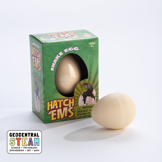 Snake Egg Hatch