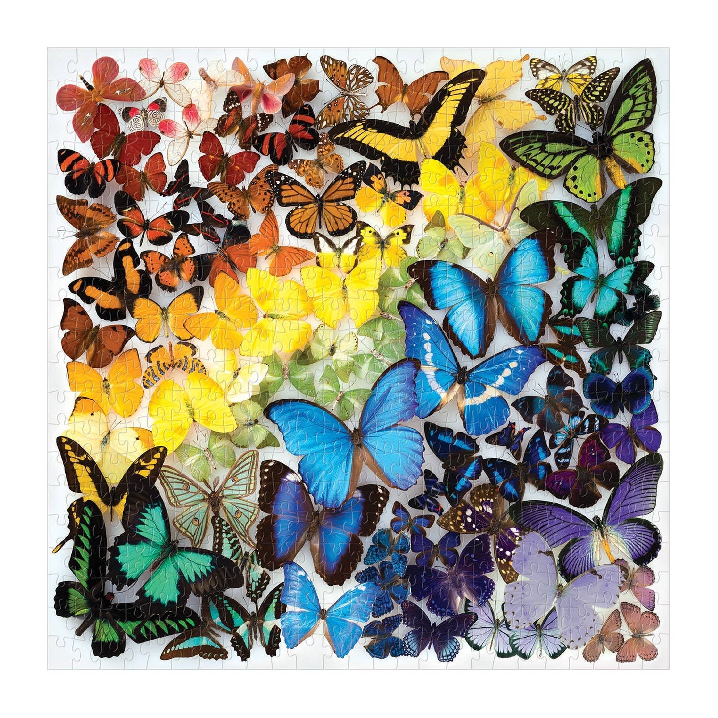 Collection of colorful butterflies arranged in a pattern on a white background
