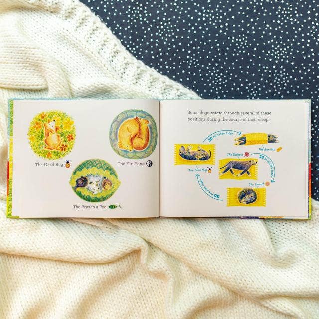 Open book with illustrations of dog positions during sleep on a textured surface.