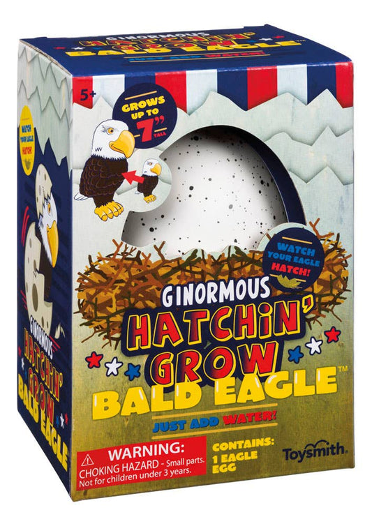 Grow Eagle Egg