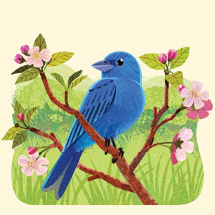 Blue bird on a branch with pink flowers and green leaves